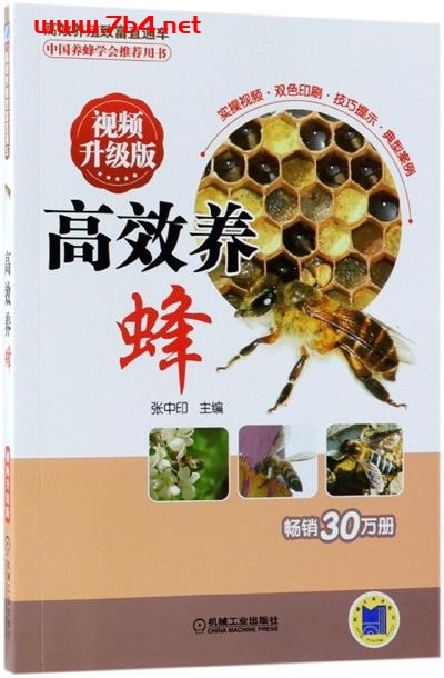 高效养蜂-作者: 张中印-PDF电子书