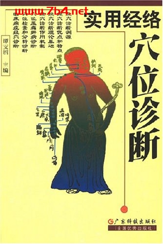 实用经络穴位诊断-作者: 谭支绍-PDF电子书