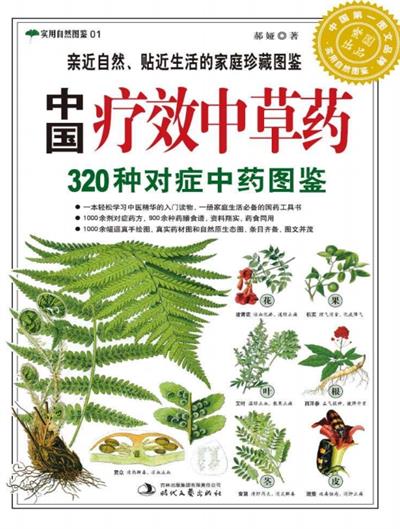 中国疗效中草药320种对症中药图鉴-作者: 郝娅-PDF电子书