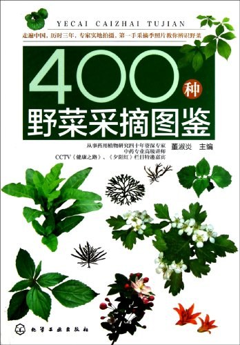 400种野菜采摘图鉴-作者: 董淑炎-PDF电子书