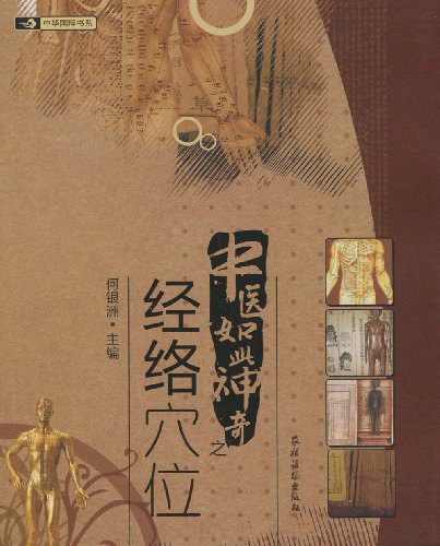 中医如此神奇之经络穴位-作者: 何银洲-PDF电子书