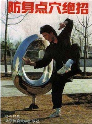 防身点穴绝招-作者: 杨连村-PDF电子书