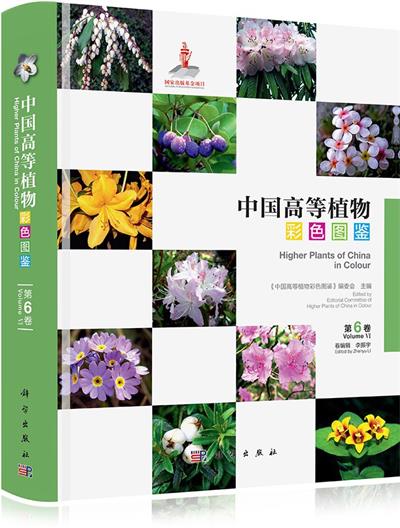 中国高等植物彩色图鉴 第六卷 岩梅科~茄科-作者: 李振宇-PDF电子书