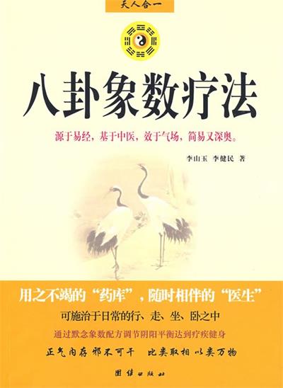 八卦象数疗法-作者: 李山玉 / 李健民-PDF电子书