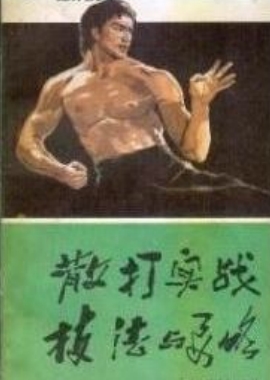 散打实战技法与要略-作者：顾正瑞-PDF电子书