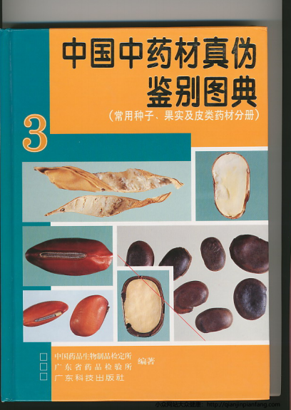 中国中药材真伪鉴别图典：常用种子、果实及皮类药材分类-PDF电子书