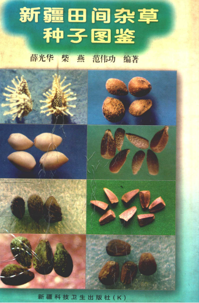新疆田间杂草种子图鉴-作者:薛光华等-PDF电子书