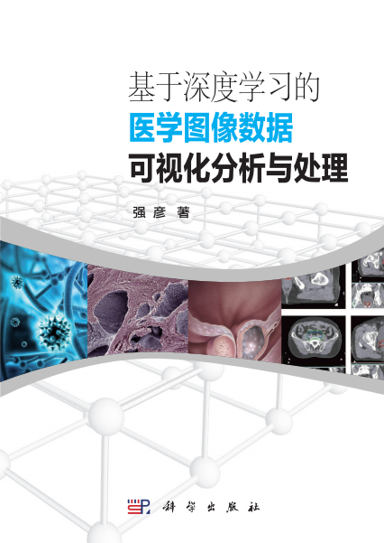 基于深度学习的医学图像数据可视化分析与处理-作 者:强彦-PDF电子书