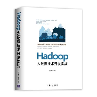 Hadoop大数据技术开发实战-作者: 张伟洋-PDF电子书