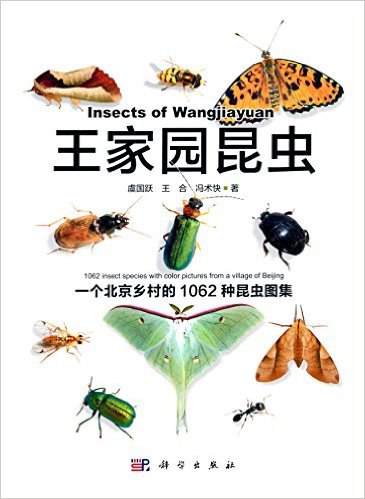 王家园昆虫-作者: 虞国跃-PDF电子书