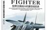 战斗机：世界王牌战斗机暨空战实录_pdf电子书_作者: 杨帆