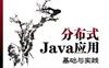 分布式Java应用基础与实践-作者:  林昊-PDF电子书