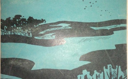 瓦尔登湖-作者:  梭罗著 徐迟译-PDF电子书