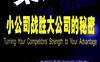 柔道战略-小公司战胜大公司的秘密