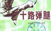 十路弹腿-作者：王新武、王新泉-PDF电子书