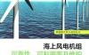 海上风电机组可靠性、可利用率及维护-作者： [英]彼得   塔夫纳（Peter Tavner）-PDF电子书