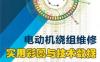 电动机绕组维修_实用彩图与技术数据速查手册-作者： 谭金鹏-PDF电子书