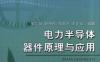 电力半导体器件原理与应用-作者： 袁立强/赵争鸣/宋高升/王正元-PDF电子书
