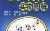 青少年趣味电子制作实物图解-作者： 刘航宇/徐燕林/徐润林/刘智-PDF电子书