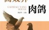 高效养肉鸽-作者： 熊家军-PDF电子书