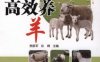 高效养羊_视频升级版-作者： 熊家军-PDF电子书