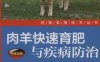 肉羊快速育肥与疾病防治-作者： 吴心华-PDF电子书