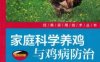 家庭科学养鸡与鸡病防治-作者： 席克奇/张玉科/汪世/史凯帅-PDF电子书