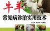 牛羊常见病诊治实用技术_视频升级版-作者： 王凤英-PDF电子书