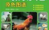 鸡病诊治原色图谱-作者： 孙卫东-PDF电子书