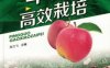 苹果高效栽培-作者： 张力飞-PDF电子书