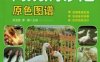 鸭鹅病诊治原色图谱-作者： 孙卫东-PDF电子书