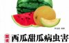 图说西瓜甜瓜病虫害诊断与防治-作者： 李金堂-PDF电子书