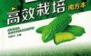苦瓜高效栽培（南方本）-作者： 刘昭华-PDF电子书