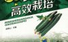 棚室黄瓜高效栽培-作者： 苗锦山-PDF电子书
