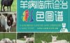 羊病临床诊治彩色图谱-作者： 谷凤柱-PDF电子书
