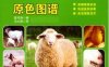 羊病诊治原色图谱-作者： 陈怀涛-PDF电子书