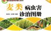 麦类病虫害诊治图册（全彩版）-作者： 商鸿生-PDF电子书