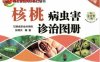 核桃病虫害诊治图册（全彩版）-作者： 张炳炎-PDF电子书