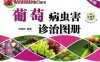 葡萄病虫害诊治图册（全彩版）-作者： 刘淑芳-PDF电子书