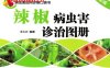 辣椒病虫害诊治图册（全彩版）-作者： 王久兴-PDF电子书
