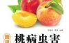 图说桃病虫害诊断与防治-作者： 孙瑞红 李萍-PDF电子书
