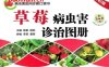 草莓病虫害诊治图册（全彩版）-作者： 杨雷-PDF电子书