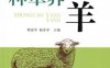 种草养羊-作者： 熊家军 杨菲菲-PDF电子书