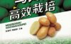 马铃薯高效栽培-作者： 张丽莉 魏峭嵘-PDF电子书