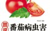 图说番茄病虫害诊断与防治-作者： 李金堂-PDF电子书