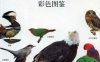 鸟：全世界800多种鸟的彩色图鉴-PDF电子书
