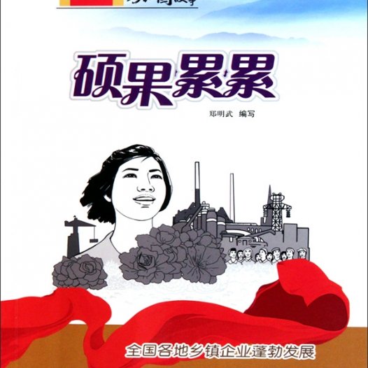 硕果累累：全国各地乡镇企业蓬勃发展-PDF电子书