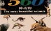 世界最美丽的560种动物-作者: 溥奎-PDF电子书