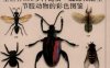 昆虫：全世界550多种昆虫、蜘蛛和陆生节肢动物的彩色图鉴
