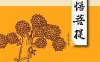禅悟菩提-作者: 太虚大师-PDF电子书